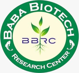Baba Biotech Logo